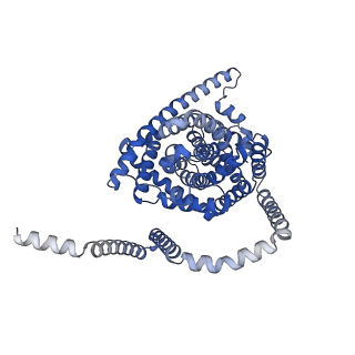 41738_8tz9_C_v1-0
Cryo-EM structure of bovine concentrative nucleoside transporter 3 in complex with Molnupiravir, condition 2, INT2-INT2-INT2 conformation