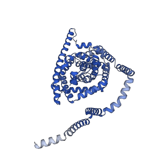 41755_8tzd_A_v1-0
Cryo-EM structure of bovine concentrative nucleoside transporter 3 in complex with Molnupiravir, condition 1, INT1-INT1-OFS conformation (3DVA analysis)