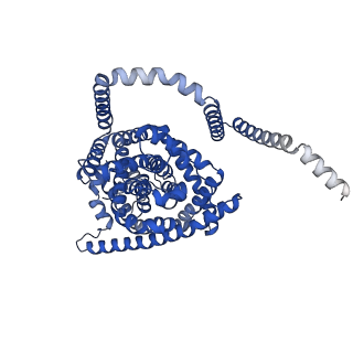 41755_8tzd_B_v1-0
Cryo-EM structure of bovine concentrative nucleoside transporter 3 in complex with Molnupiravir, condition 1, INT1-INT1-OFS conformation (3DVA analysis)