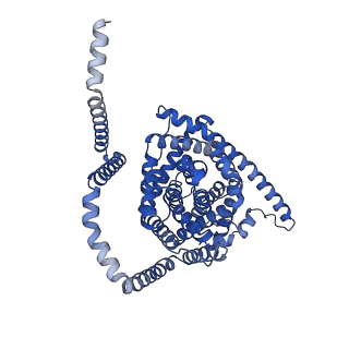 41755_8tzd_C_v1-0
Cryo-EM structure of bovine concentrative nucleoside transporter 3 in complex with Molnupiravir, condition 1, INT1-INT1-OFS conformation (3DVA analysis)