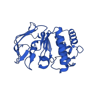 41760_8tzj_A_v1-0
Cryo-EM structure of Vibrio cholerae FtsE/FtsX complex