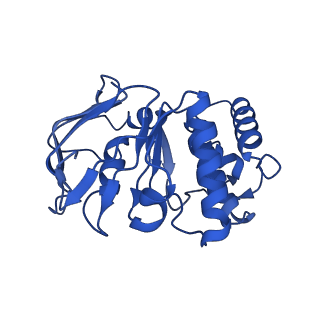 41760_8tzj_A_v1-1
Cryo-EM structure of Vibrio cholerae FtsE/FtsX complex