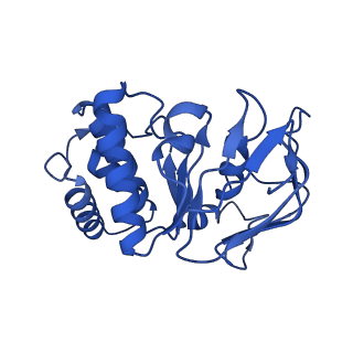 41760_8tzj_B_v1-0
Cryo-EM structure of Vibrio cholerae FtsE/FtsX complex