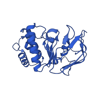 41760_8tzj_B_v1-1
Cryo-EM structure of Vibrio cholerae FtsE/FtsX complex