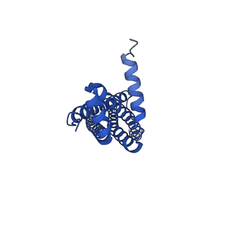 41760_8tzj_C_v1-0
Cryo-EM structure of Vibrio cholerae FtsE/FtsX complex