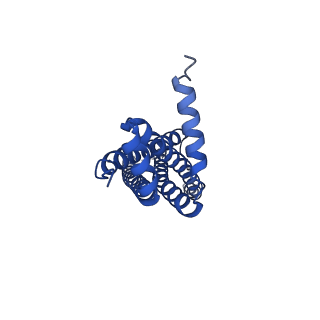 41760_8tzj_C_v1-1
Cryo-EM structure of Vibrio cholerae FtsE/FtsX complex