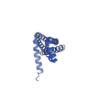 41760_8tzj_D_v1-0
Cryo-EM structure of Vibrio cholerae FtsE/FtsX complex