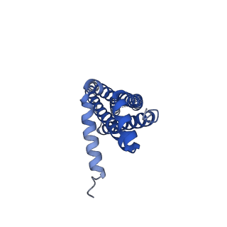 41760_8tzj_D_v1-1
Cryo-EM structure of Vibrio cholerae FtsE/FtsX complex