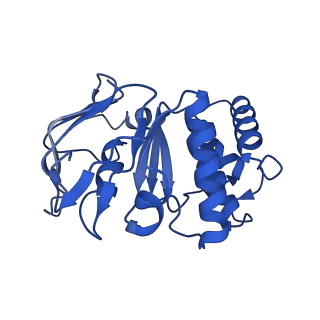 41761_8tzk_A_v1-0
Cryo-EM structure of Vibrio cholerae FtsE/FtsX/EnvC complex, shortened
