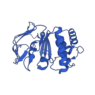 41761_8tzk_A_v1-1
Cryo-EM structure of Vibrio cholerae FtsE/FtsX/EnvC complex, shortened