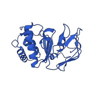 41761_8tzk_B_v1-0
Cryo-EM structure of Vibrio cholerae FtsE/FtsX/EnvC complex, shortened