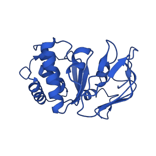 41761_8tzk_B_v1-1
Cryo-EM structure of Vibrio cholerae FtsE/FtsX/EnvC complex, shortened