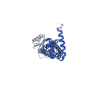 41761_8tzk_C_v1-0
Cryo-EM structure of Vibrio cholerae FtsE/FtsX/EnvC complex, shortened