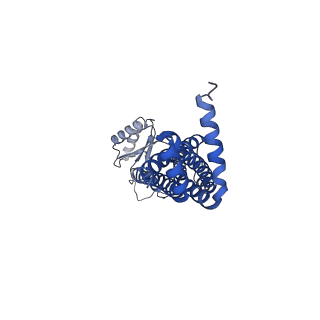 41761_8tzk_C_v1-1
Cryo-EM structure of Vibrio cholerae FtsE/FtsX/EnvC complex, shortened