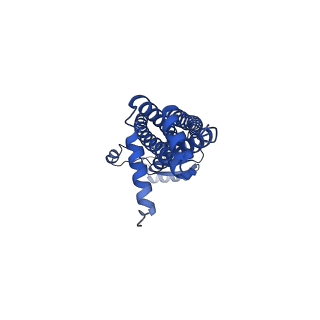 41761_8tzk_D_v1-1
Cryo-EM structure of Vibrio cholerae FtsE/FtsX/EnvC complex, shortened