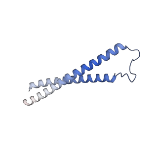 41761_8tzk_E_v1-0
Cryo-EM structure of Vibrio cholerae FtsE/FtsX/EnvC complex, shortened