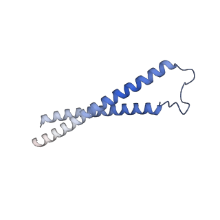 41761_8tzk_E_v1-1
Cryo-EM structure of Vibrio cholerae FtsE/FtsX/EnvC complex, shortened