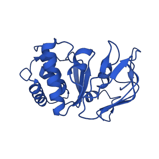 41762_8tzl_B_v1-0
Cryo-EM structure of Vibrio cholerae FtsE/FtsX/EnvC complex, full-length