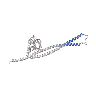 41762_8tzl_E_v1-0
Cryo-EM structure of Vibrio cholerae FtsE/FtsX/EnvC complex, full-length