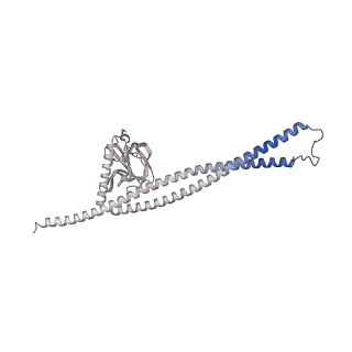 41762_8tzl_E_v1-1
Cryo-EM structure of Vibrio cholerae FtsE/FtsX/EnvC complex, full-length