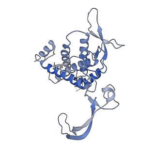41764_8tzo_A_v1-0
Structure of human Wnt7a bound to WLS and CALR