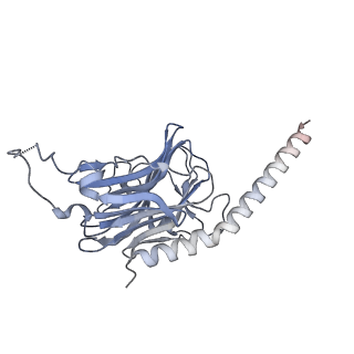 41764_8tzo_C_v1-0
Structure of human Wnt7a bound to WLS and CALR