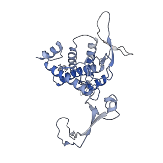41765_8tzp_A_v1-0
Structure of human Wnt7a bound to WLS and RECK