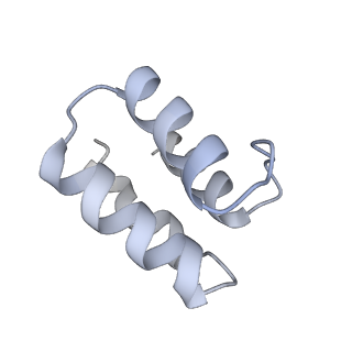 41765_8tzp_C_v1-0
Structure of human Wnt7a bound to WLS and RECK