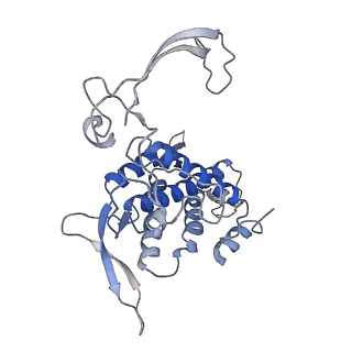 41767_8tzr_A_v1-0
Structure of human Wnt3a bound to WLS and CALR