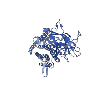 41767_8tzr_B_v1-0
Structure of human Wnt3a bound to WLS and CALR