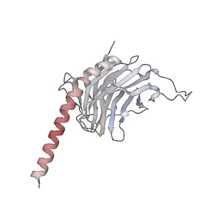 41767_8tzr_C_v1-0
Structure of human Wnt3a bound to WLS and CALR