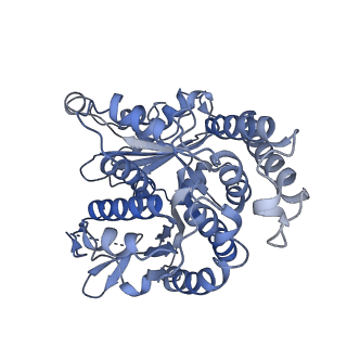 20602_6u0t_B_v1-3
Protofilament Ribbon Flagellar Proteins Rib43a-S