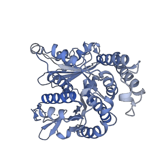 20602_6u0t_B_v1-4
Protofilament Ribbon Flagellar Proteins Rib43a-S