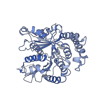20602_6u0t_C_v1-3
Protofilament Ribbon Flagellar Proteins Rib43a-S