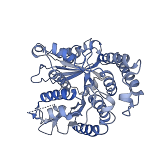 20602_6u0t_C_v1-4
Protofilament Ribbon Flagellar Proteins Rib43a-S