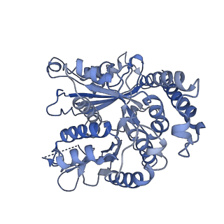 20602_6u0t_D_v1-3
Protofilament Ribbon Flagellar Proteins Rib43a-S