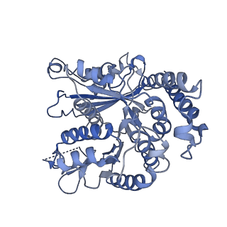 20602_6u0t_D_v1-4
Protofilament Ribbon Flagellar Proteins Rib43a-S