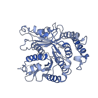 20602_6u0t_E_v1-3
Protofilament Ribbon Flagellar Proteins Rib43a-S