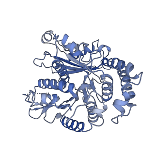 20602_6u0t_F_v1-3
Protofilament Ribbon Flagellar Proteins Rib43a-S