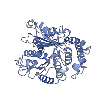 20602_6u0t_F_v1-4
Protofilament Ribbon Flagellar Proteins Rib43a-S