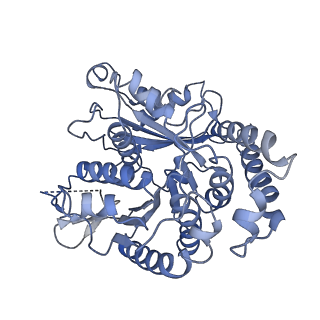 20602_6u0t_G_v1-3
Protofilament Ribbon Flagellar Proteins Rib43a-S