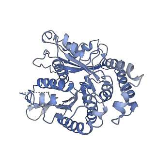 20602_6u0t_G_v1-4
Protofilament Ribbon Flagellar Proteins Rib43a-S