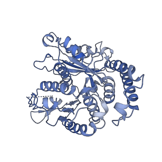 20602_6u0t_H_v1-3
Protofilament Ribbon Flagellar Proteins Rib43a-S