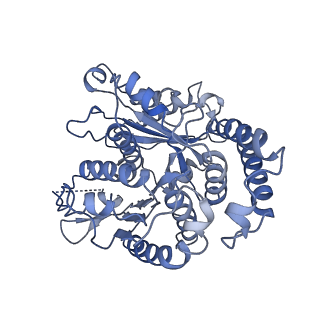 20602_6u0t_H_v1-4
Protofilament Ribbon Flagellar Proteins Rib43a-S