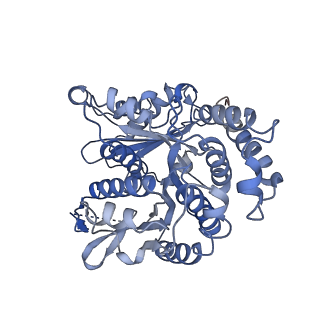 20602_6u0t_I_v1-3
Protofilament Ribbon Flagellar Proteins Rib43a-S