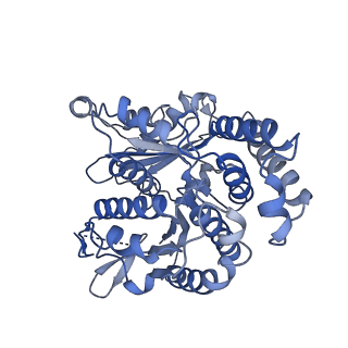 20602_6u0t_J_v1-3
Protofilament Ribbon Flagellar Proteins Rib43a-S