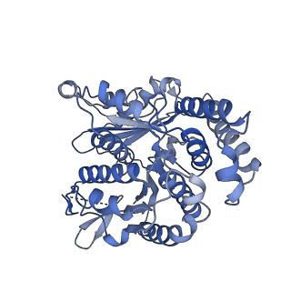 20602_6u0t_J_v1-4
Protofilament Ribbon Flagellar Proteins Rib43a-S