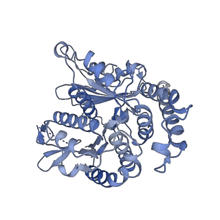 20602_6u0t_K_v1-3
Protofilament Ribbon Flagellar Proteins Rib43a-S