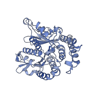 20602_6u0t_K_v1-4
Protofilament Ribbon Flagellar Proteins Rib43a-S