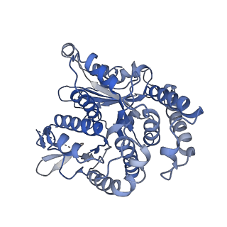 20602_6u0t_L_v1-3
Protofilament Ribbon Flagellar Proteins Rib43a-S